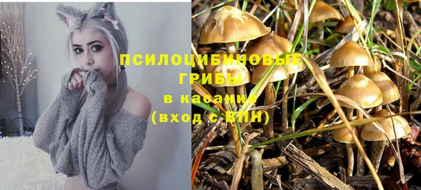 мдпв Костерёво