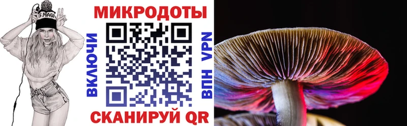Галлюциногенные грибы ЛСД  Могоча 